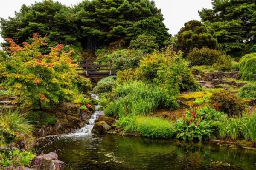 Walk the Royal Botanic Garden-5